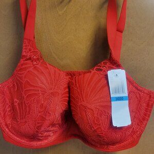 Womens beautiful red lace bra